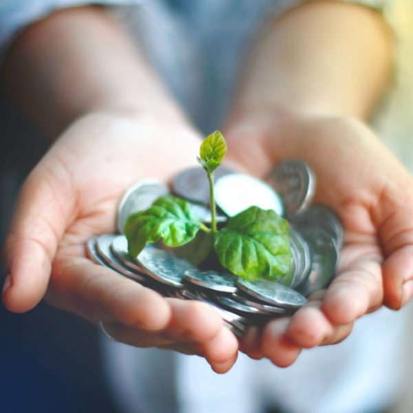 Hands holding coins with plant growing out